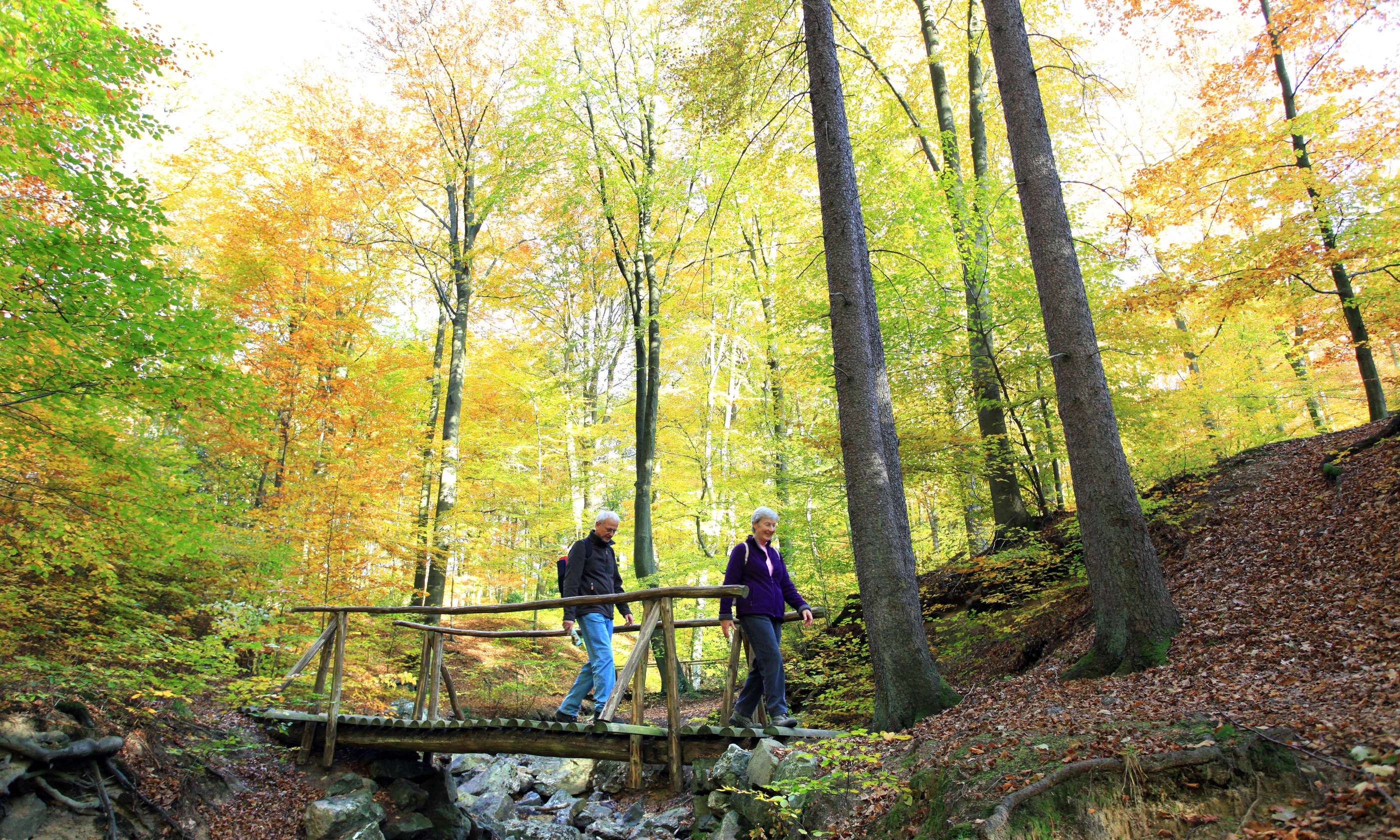 Wandelen in het parc naturel des sources.