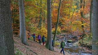 De mooiste wandelgebieden in Spa.