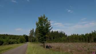 Meerdaags wandelen in Wallonië: Transardennaise.