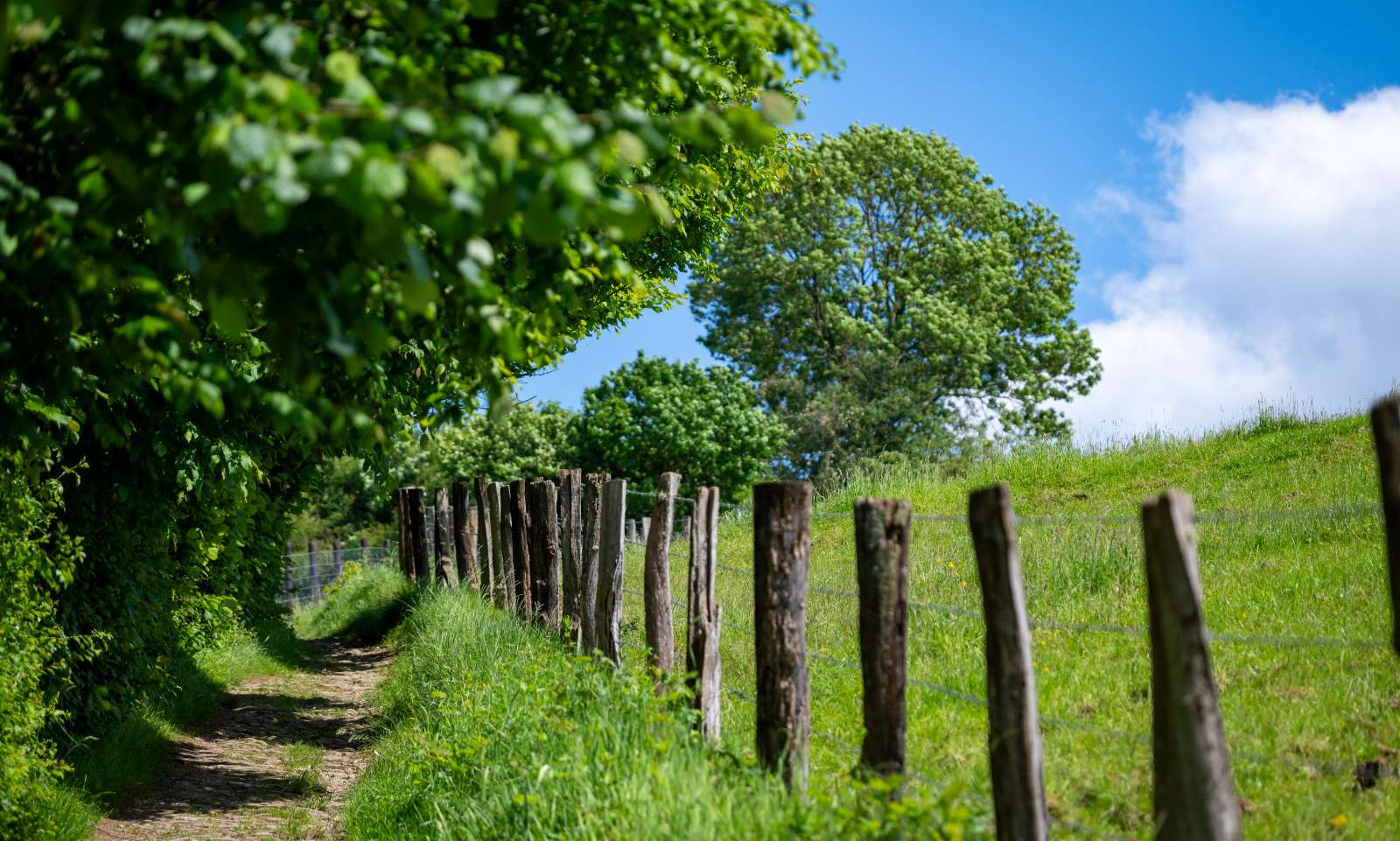 Meerdaags wandelen in Wallonië.