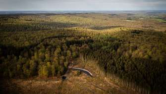 Woud van Saint-Hubert.