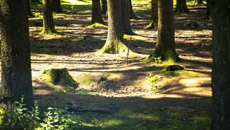 Wandelen in Bastogne.