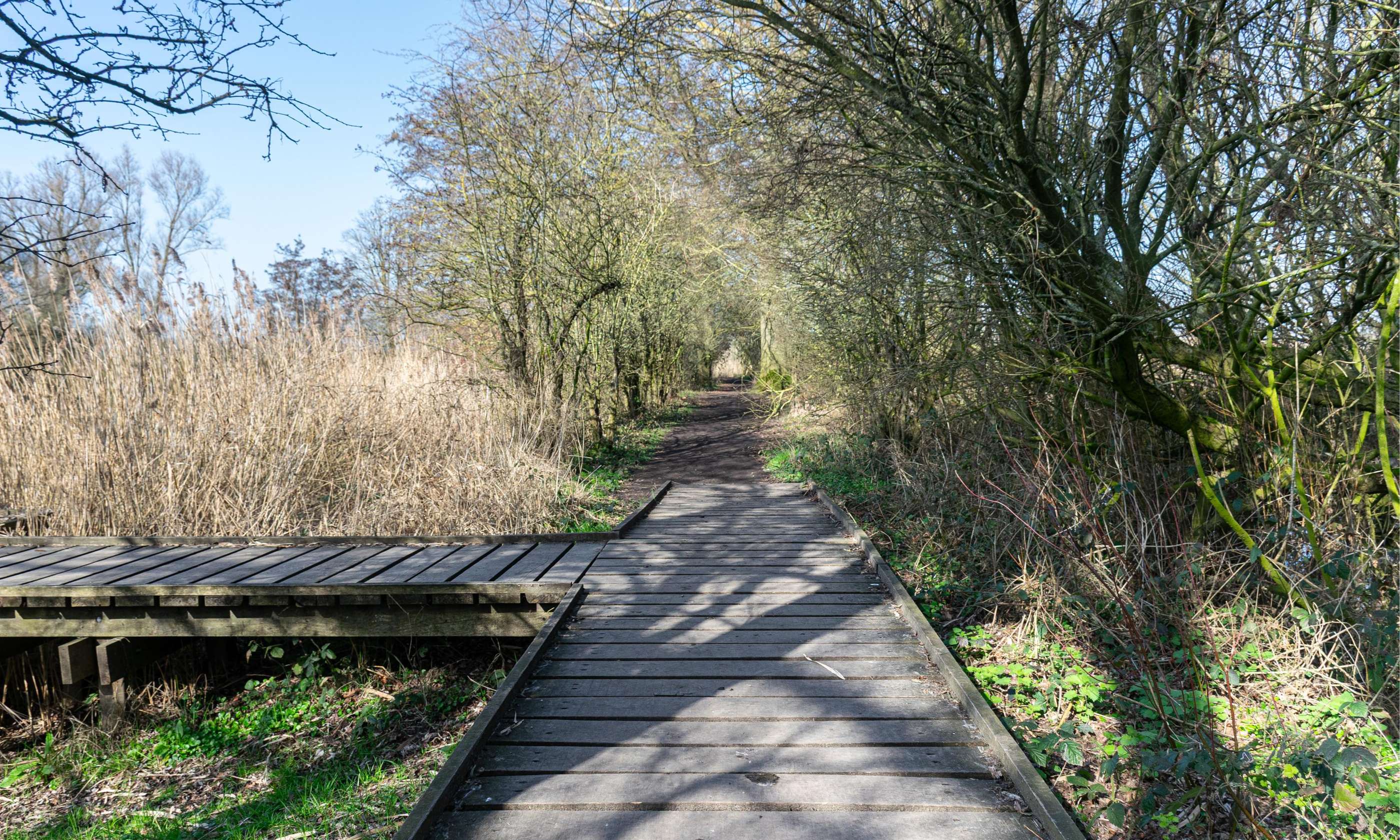 Steun de aanleg van een vlonderpad in de Blankaart.