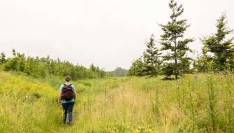 De voordelen van solo wandelen met Wanda wandelt.