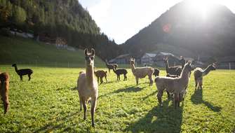 Wandelen op de Liechtenstein Trail.