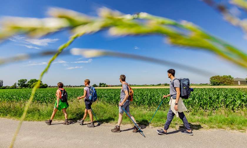 Wandelen in de Westhoek.