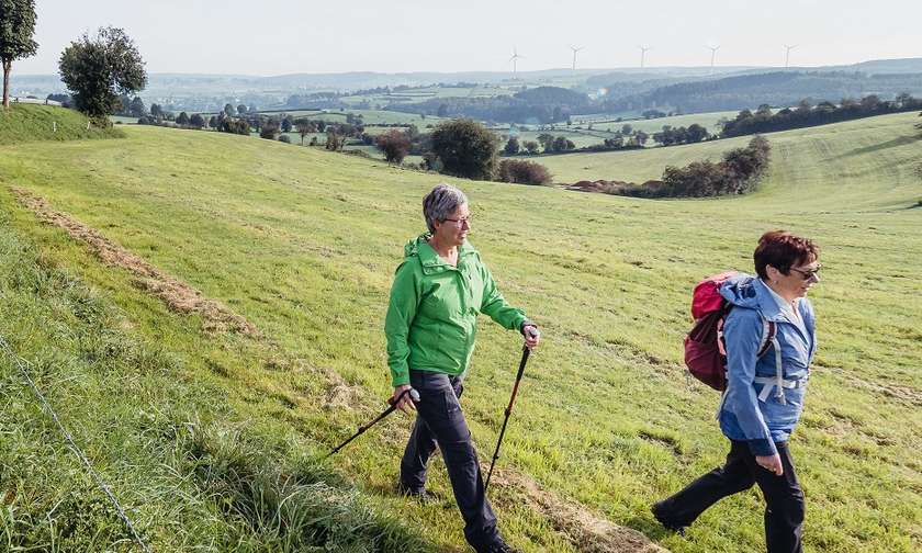 Wandelen in de Hoge Venen