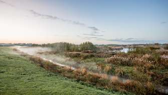 Wandelen in en rond Mechelen langs de wetlands.