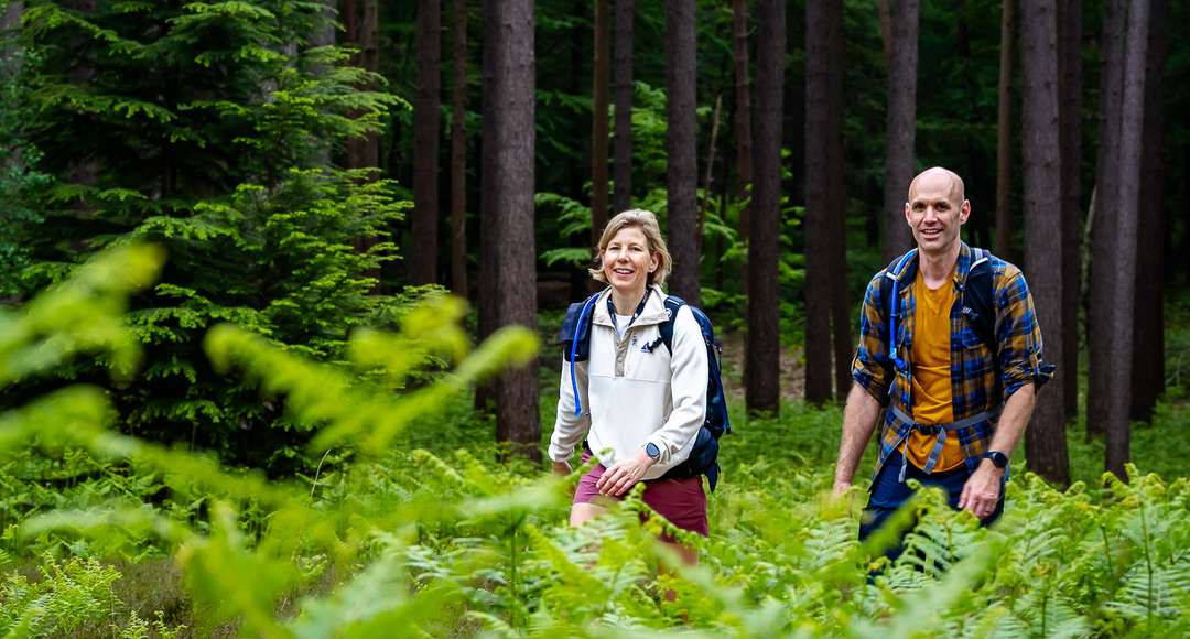 Wandelen in de bossen