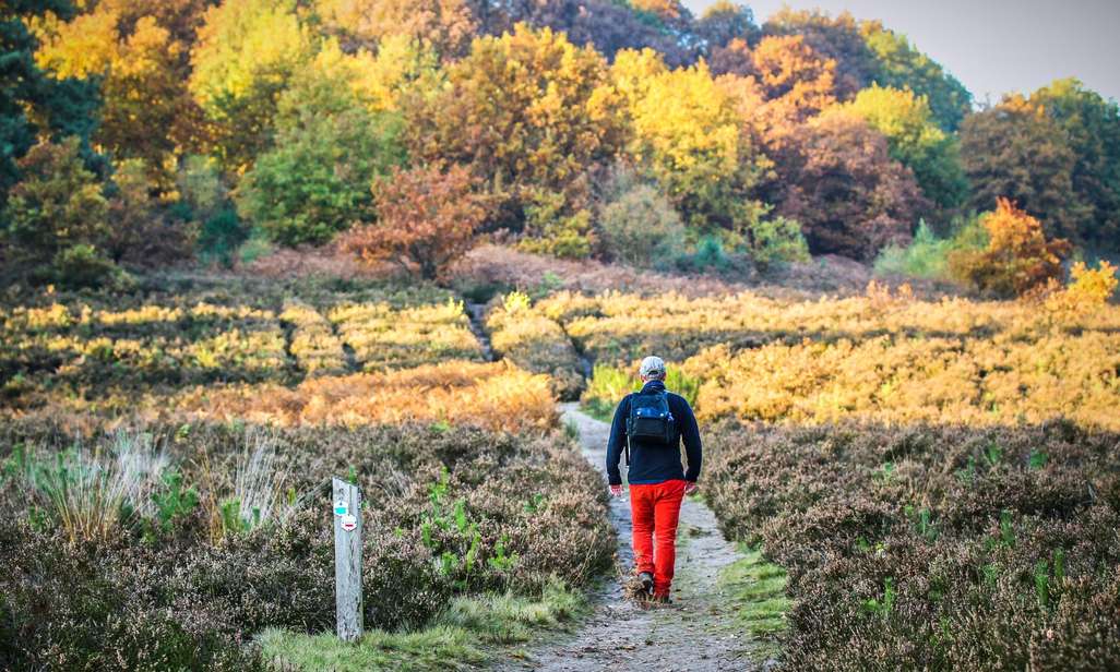 Wandelen op de Streek-GR Limburgse Mijnen.