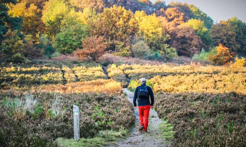 Wandelen op de Streek-GR Limburgse Mijnen.