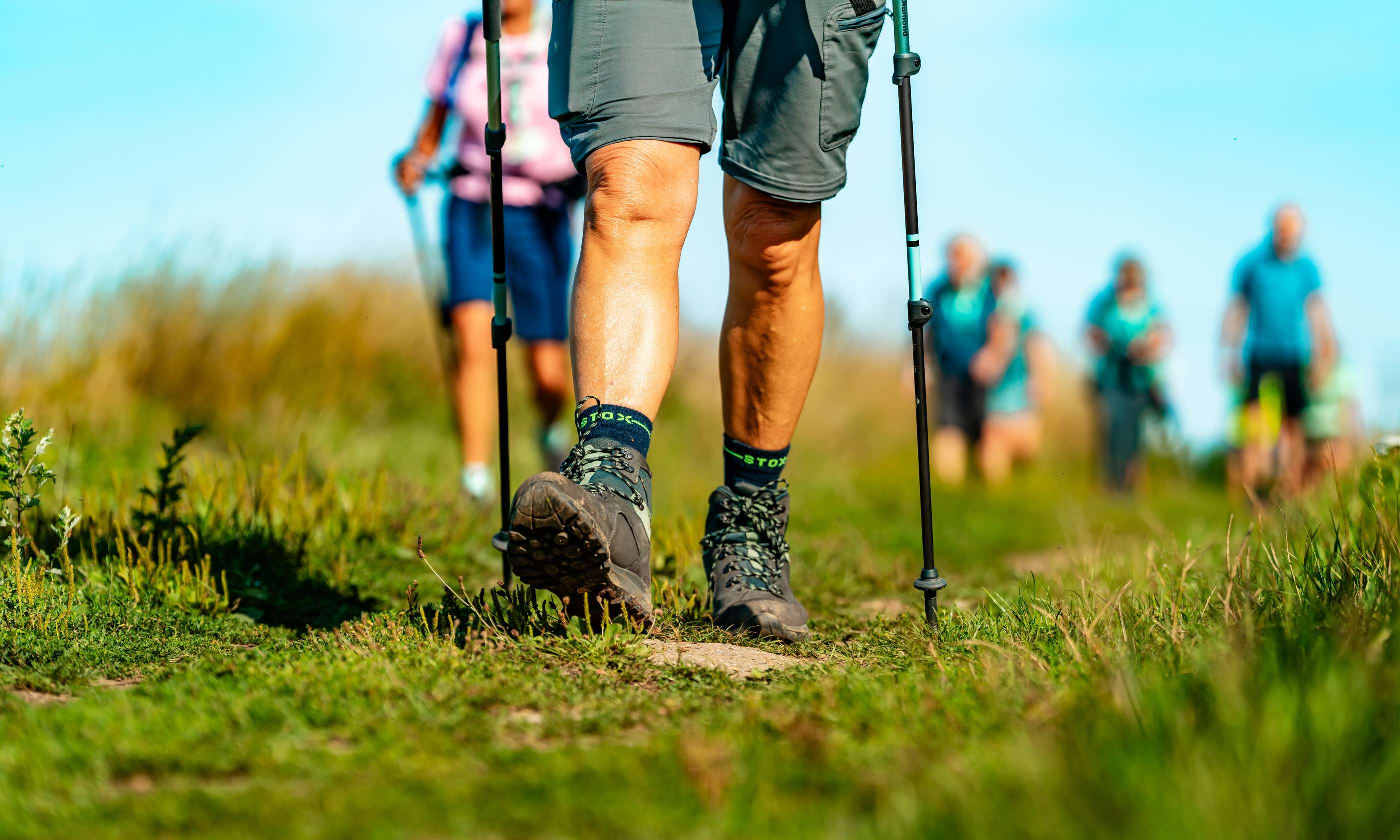 Wandelschoenen in een veld