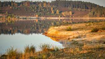 Wandelen op de Mechelse Heide.