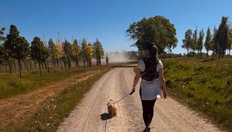Wandelen met de hon