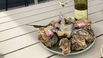Wijn en oesters