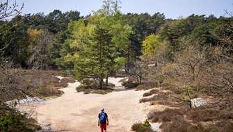 Wandelen in de Teut in Zonhoven.