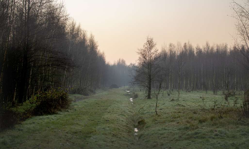 Wandelen in het Stropersbos.
