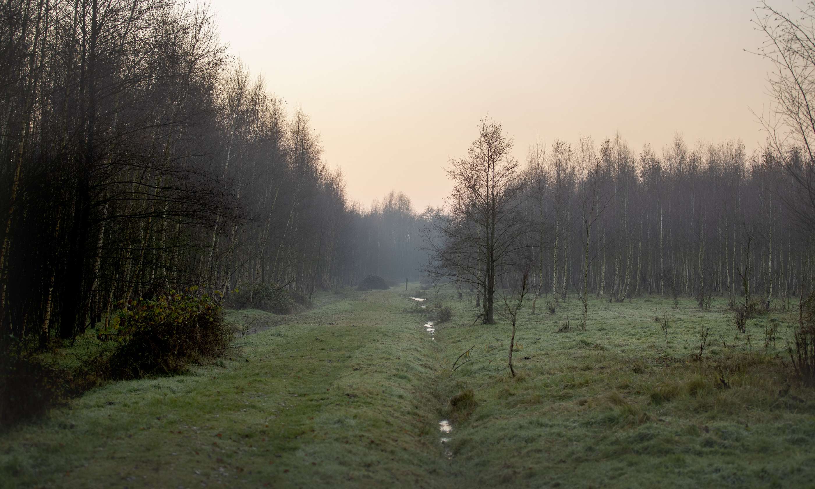 Wandelen in het Stropersbos.