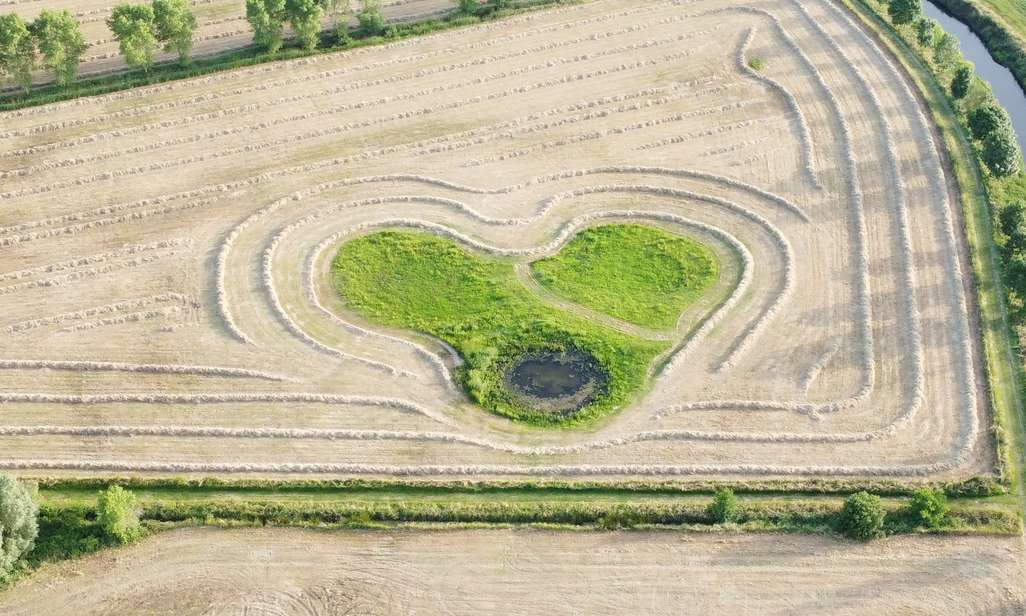 valentijn wandelchallenge