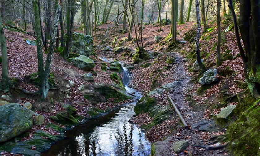 Wandelen in de Belgische Ardennen langs de Ningingsplo.