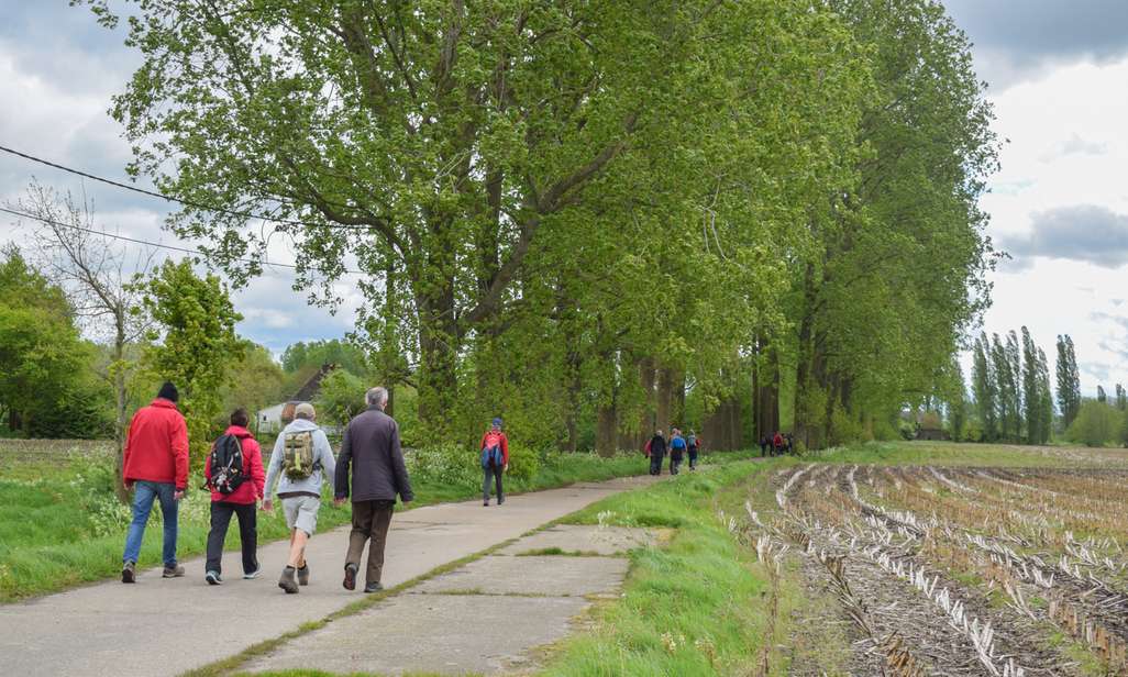 Wandelen tijdens Vlaanderen Wandelt 2024, een organisatie van Wandelsport Vlaanderen vzw.