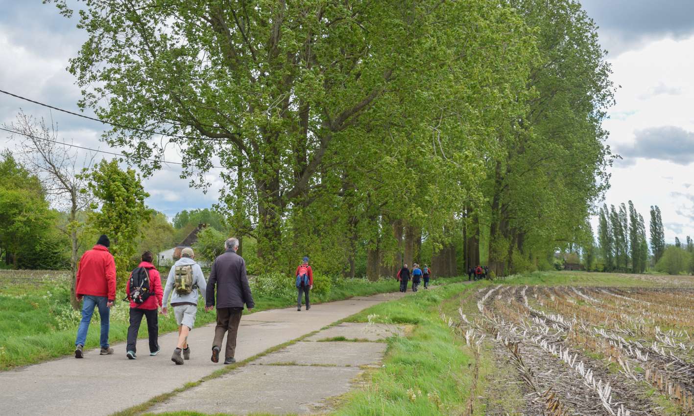 Wandelen tijdens Vlaanderen Wandelt 2024, een organisatie van Wandelsport Vlaanderen vzw.