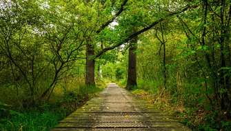 Wandelen in stiltegebieden.