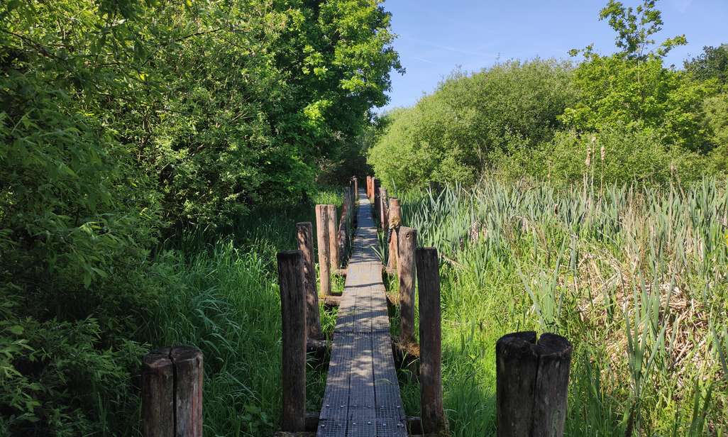 Wandelen in De Nuchten