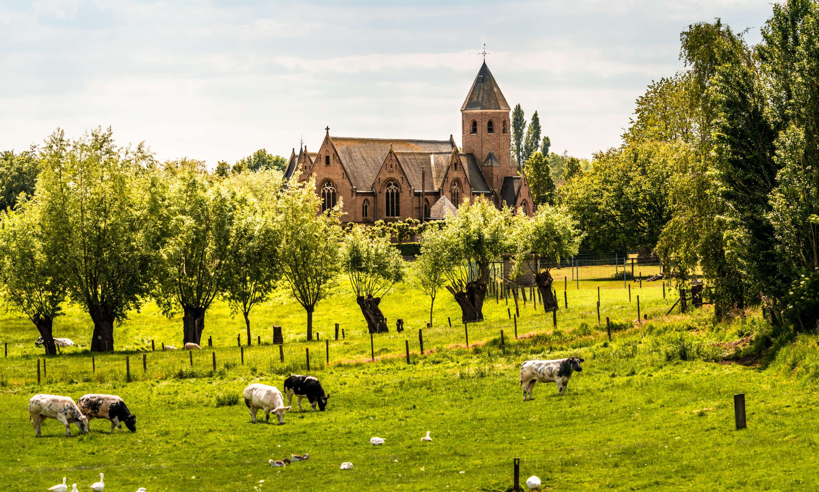 Wandelnetwerk Baliekouter - Poelberg - Brielmeersen.