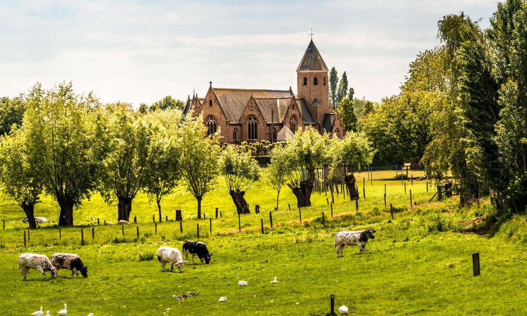 Wandelnetwerk Baliekouter - Poelberg - Brielmeersen.