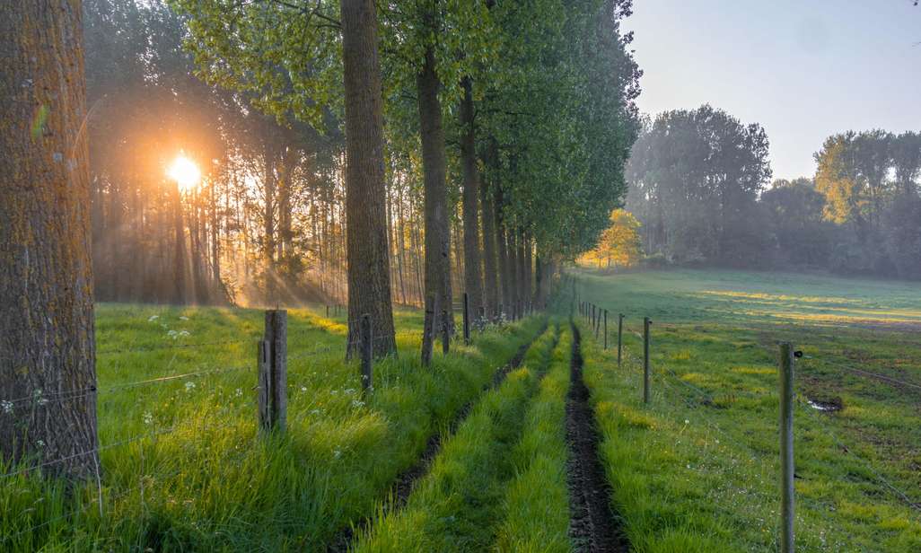 Wandelen op het wandelnetwerk Dendervallei Zuid.