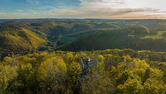 Wandelen in het Hürtgenwald.