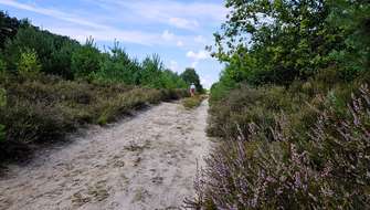 Wandelen op Vlaanderen Wandelt in 2026.