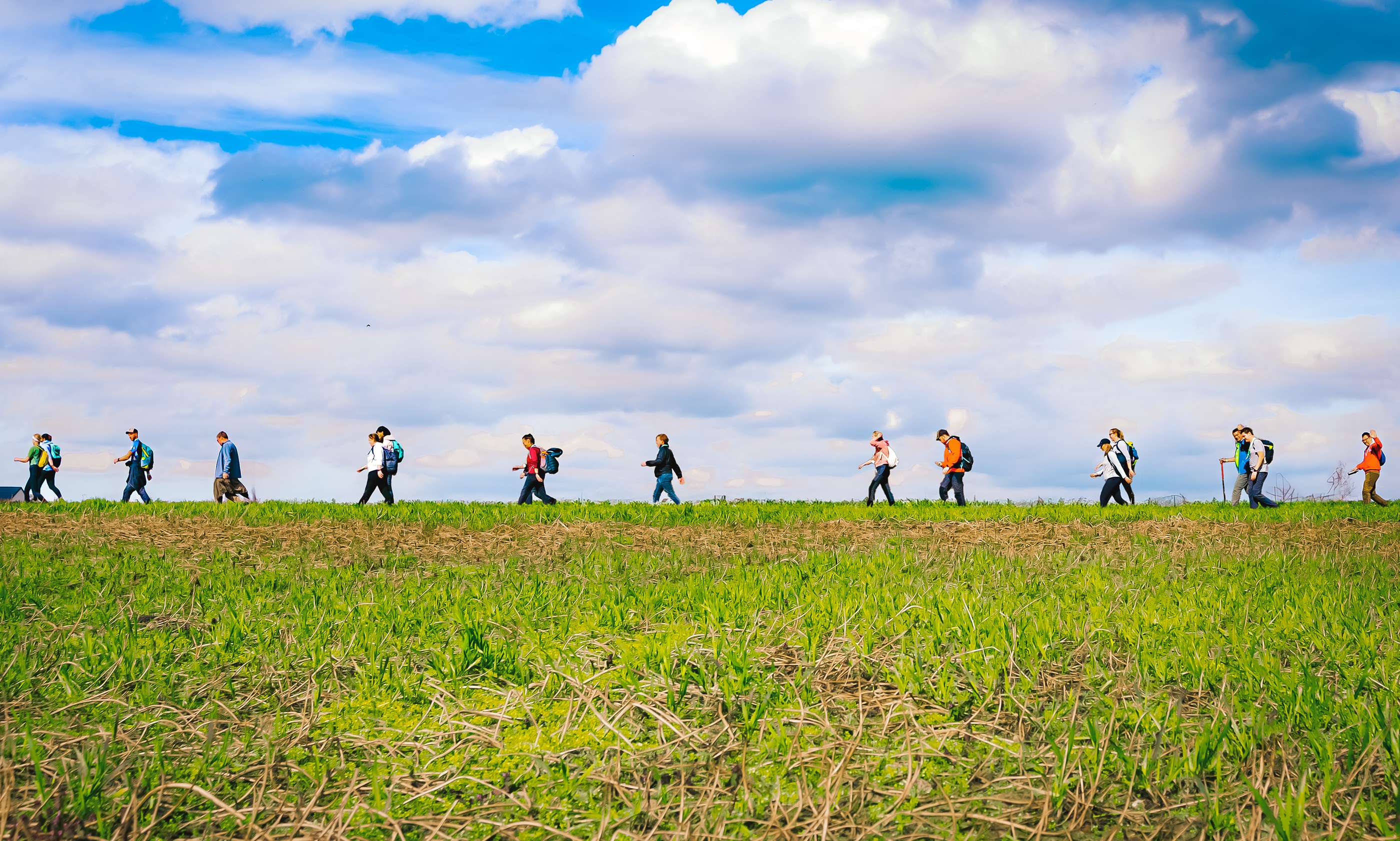 word lid van Wandelsport Vlaanderen vzw