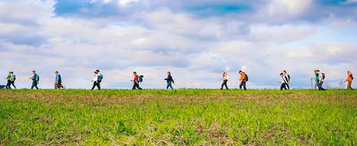 word lid van Wandelsport Vlaanderen vzw