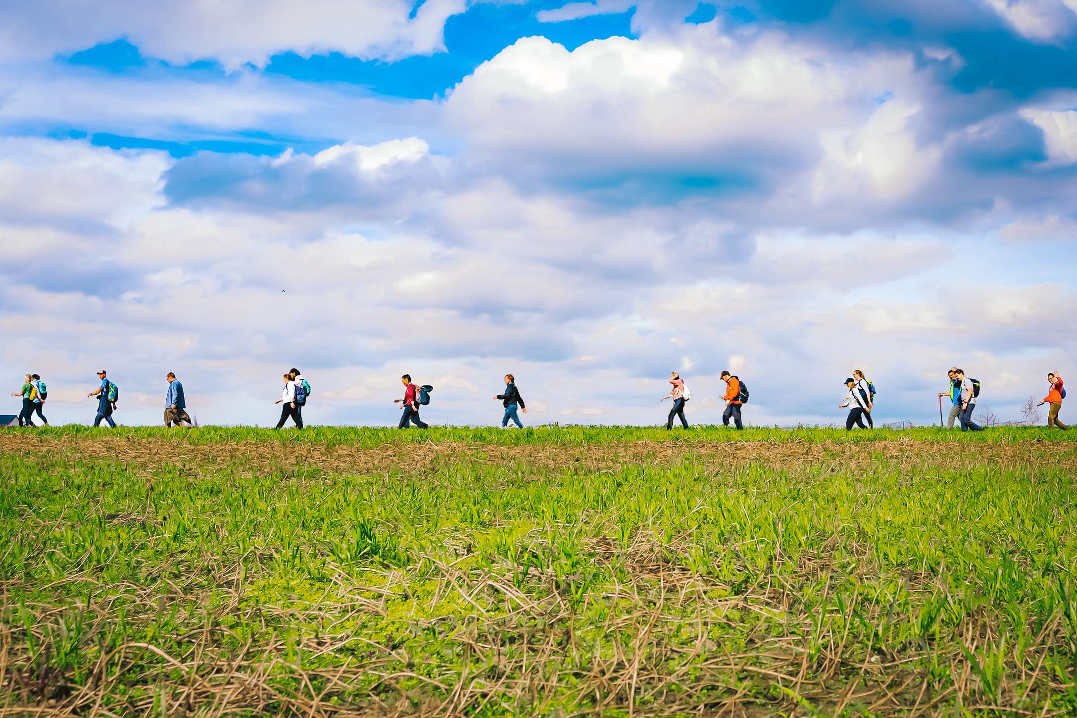 word lid van Wandelsport Vlaanderen vzw