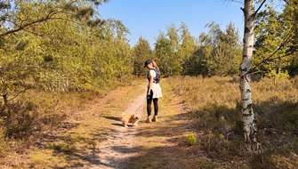 Wandelen met de hond