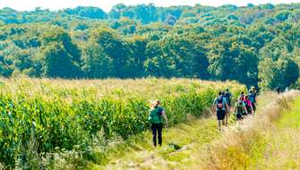 Wandelen met de wandel.be-kalender.