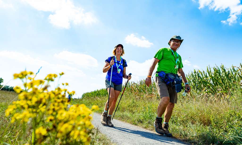 Wandelen op de Paddenkoppenland Trail van Flanders Trails.