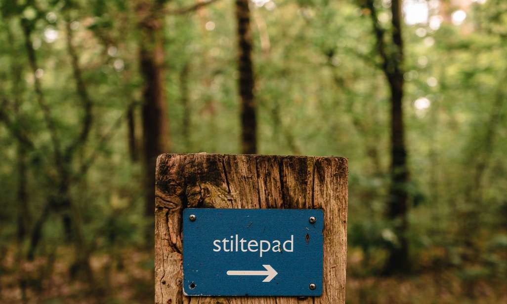 Wandelen over stiltepaden.