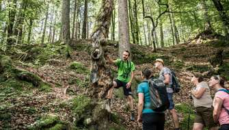 Wandelen in  het Oostenrijkse Zillertal.