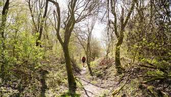 Wandelen op de Grote Ontsnapping Escapardenne.