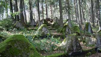 Wandelen in het Hürtgenwald.