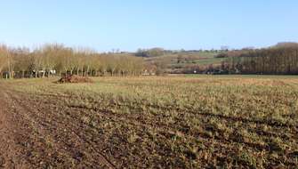 Wandelen in natuurgebied 't Burreken.