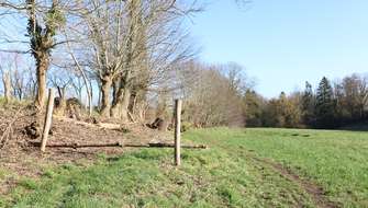 Wandelen in 't Burreken, Vlaamse Ardennen.