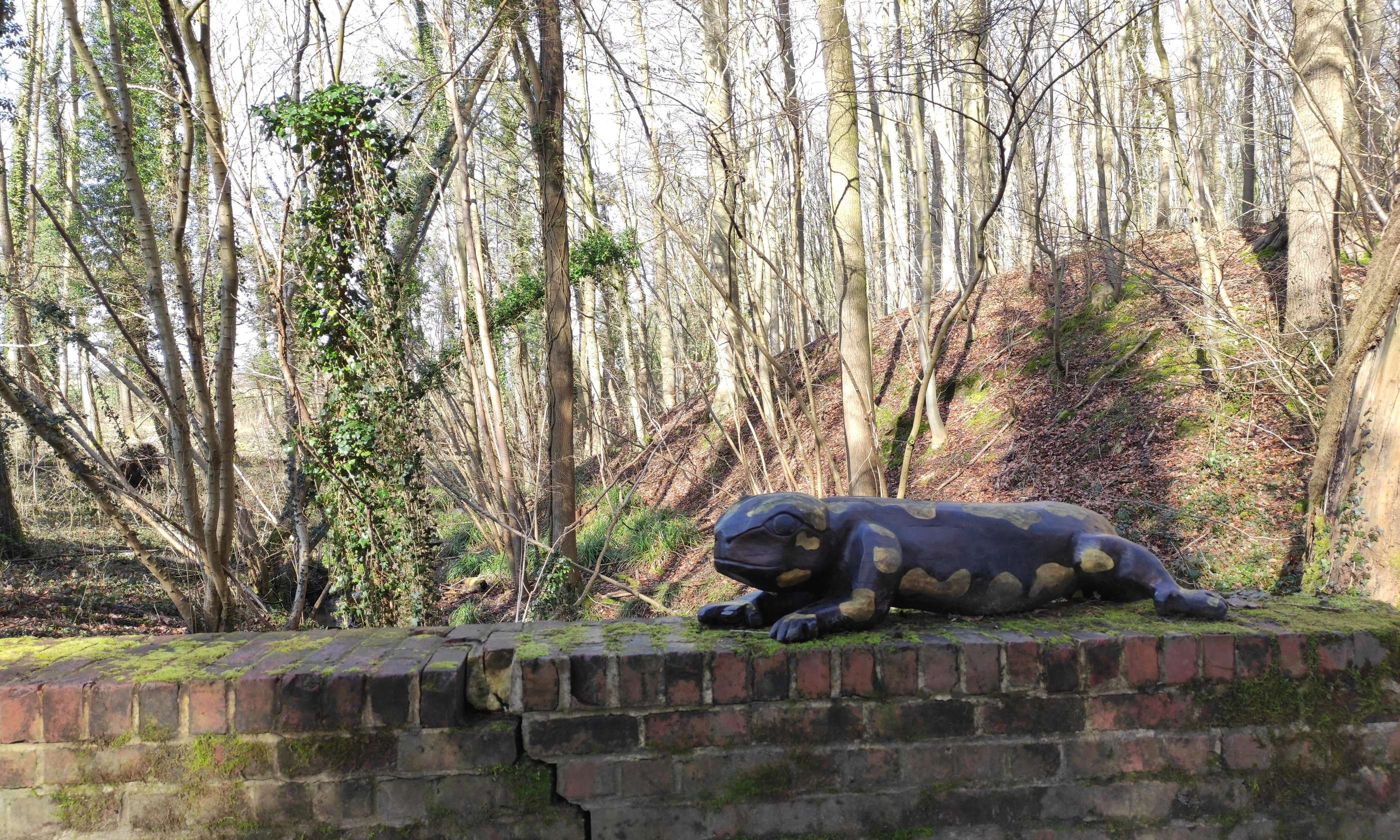 Wandelen in het natuurgebied 't Burreken.