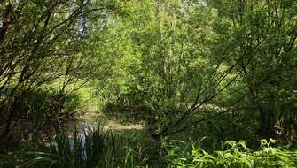 Wandelen in De Nuchten