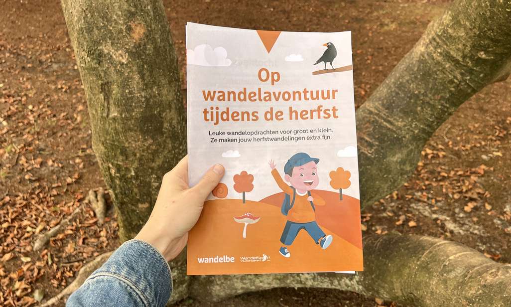 Op wandelavontuur tijdens de herfst met wandel.be.