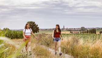 Wandelen op het wandelnetwerk Ieperboog Oost.