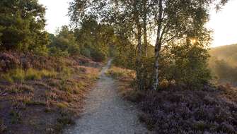 Wandelen op de Mechelse Heide.